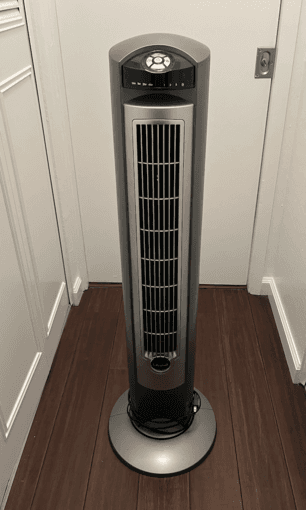Fans, Bargain 1