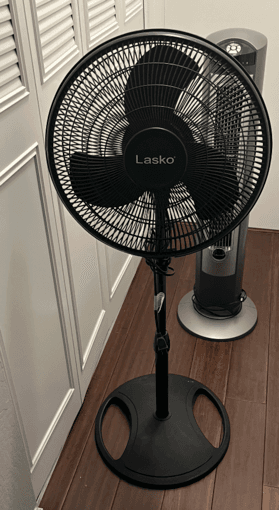Fans, Bargain 2