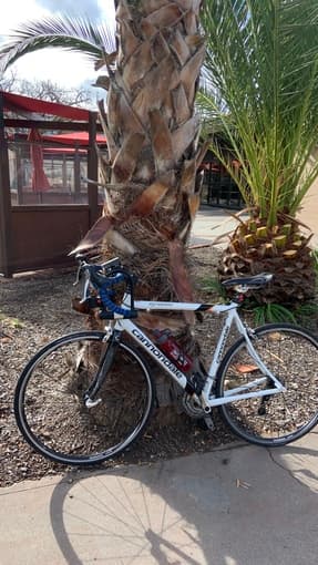 Gorgeous Road Cycling Bike - Cannondale Synapse 6 (170cm+5ft6+) 1