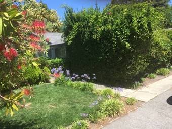 2 bed, 1 bath lovely garden patio home 3