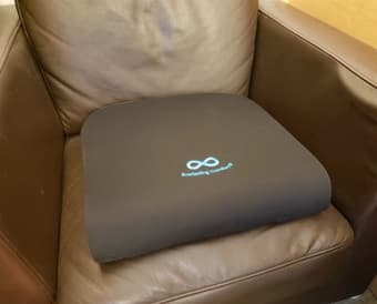 Seat cushion (almost new) 1