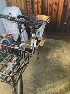 Unisex Cargo electric family bike 2