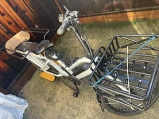 Unisex Cargo electric family bike 3