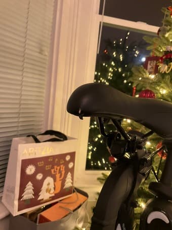 Peloton (2019) 2