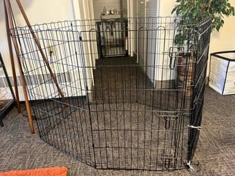 Puppy play-pen 1