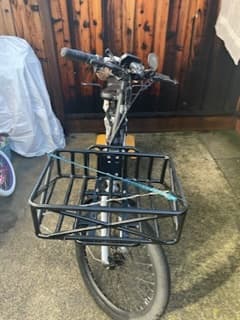 Unisex Electric Cargo family bike 2