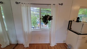 Curtains (white) 1