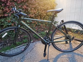 Giant bike 1