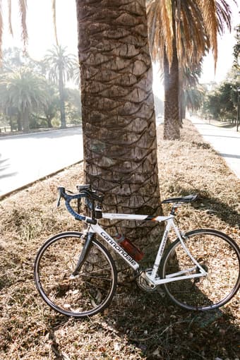 Amazing Road Cycling Bike - Cannondale Synapse 6 (170cm+5ft6+) 1
