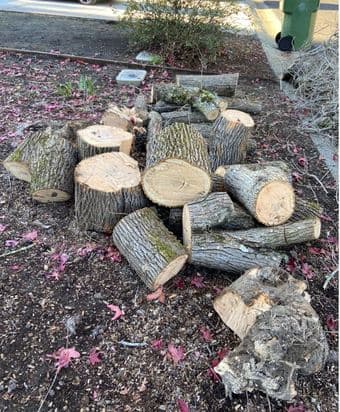 LOGS FOR FREE 1