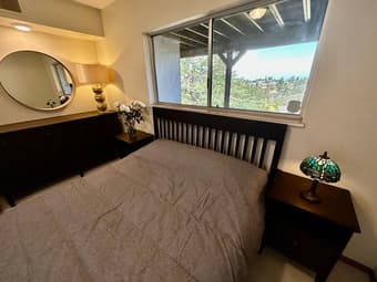 one bedroom suite(short term rental) 3