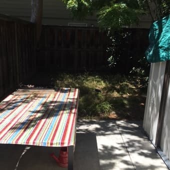 Room in 2-bedroom townhouse in Palo Alto for female - $1,300 3
