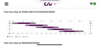 Bike for sale, LIV Alight 2, Size L, Only 8 weeks old, incl. ULock 3