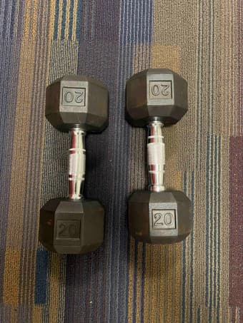 15lb & 20lb Dumbbells for sale 1