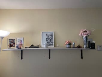 Hanging Shelf 1