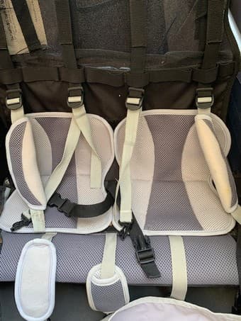 Burley Double Bike Trailer 3