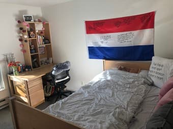 Rains Graduate Housing Summer Sublet (Jun 19-Jul 10 & Aug 22-Sept 18) 1