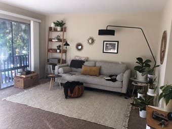 Beautiful Comfortable Sofa from ARTICLE - Used 1.5 Years 1
