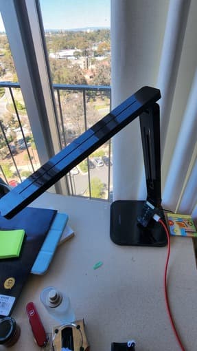 Move Out Sale: Desk Lamp 1
