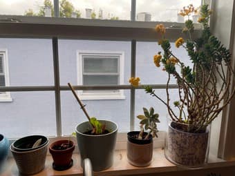 Moving sale 3