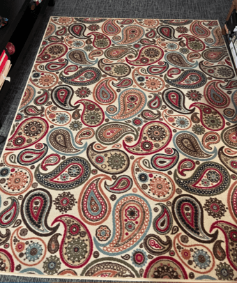 Rug - move out sale 1