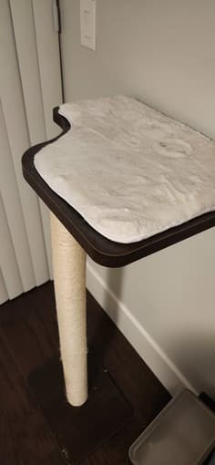 Free cat perch 1