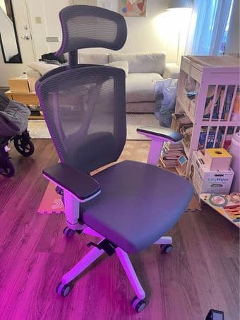 Autonomous Ergochair Pro - Desk Chair 1