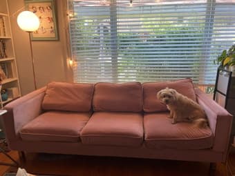 Pink velvet couch 1