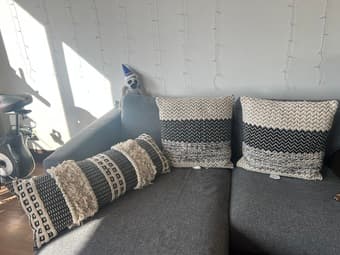Couch Pillows (2) 1