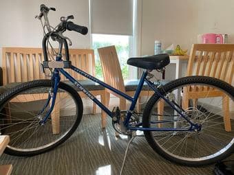 Schwinn Bike 1
