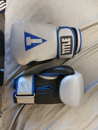 Title Boxing Gloves (16oz) 1