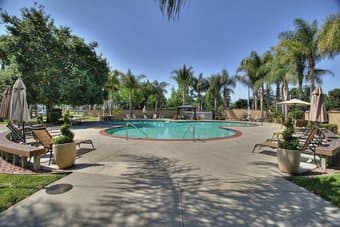 Female roommate - 2 bed, 2 bath apt - Mountain View - $1,266 2