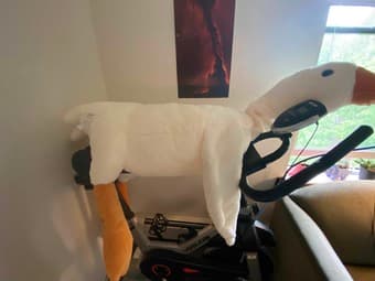 Yosuda exercise bike 1