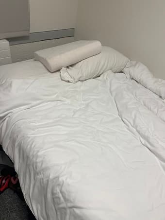 Full bed duvet, comforter, pillows, sheets 1