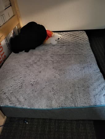 Dog Bed/Mattress 1