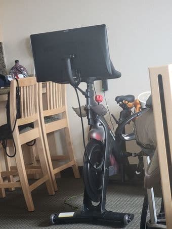 Peloton Bike First Generation - 2 years old 1