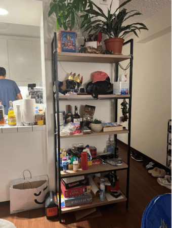 ladder bookshelf 1