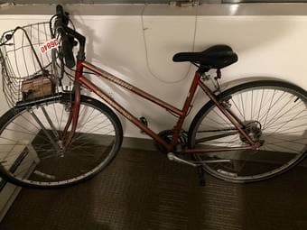 Really old bike needs repair 1