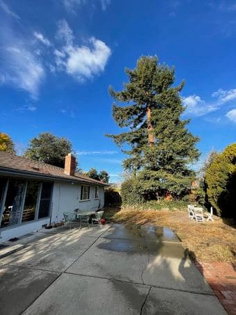 quiet and pretty neighborhood in Palo Alto 3