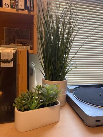Beautiful Faux Plants Set 1
