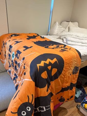Halloween Comforter Set wit 2 Pillow Case 1