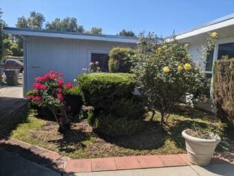 3br - 94ft2 - Roommate wanted flexible move in (mountain view) 1