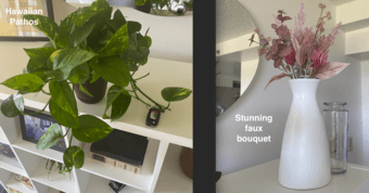 Plants 1