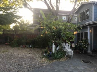 [Sublet from July to August] Amazing one-bedroom available in a house 2