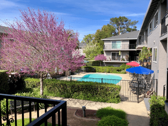 Flatmate Wanted (1 yr lease) 2BD1BA (starting July 28) 1