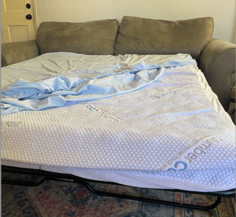 Pottery Barn Sleeper Sofa 3
