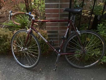 Bianchi Eros 54cm 1