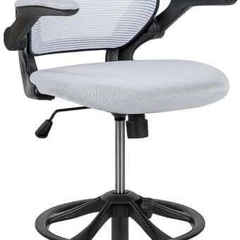 Height adjustable Ergonomic Chair ($160 bought, selling for $80) 1