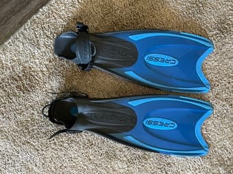 Scuba fins 1