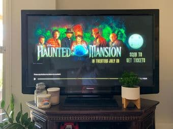 Moving Sale - TV, Microwave, books, couch cover, gaming chair, plants 1